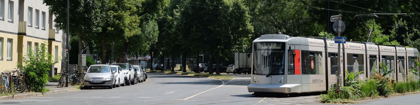 Eine unserer silbernen Straßenbahnen fährt über eine Kreuzung. Links stehen Autos und Fahrräder vor einem Haus. Rechts sind viele große grüne Bäume. Der Himmel ist blau und die Sonne scheint.